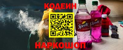гашик Кингисепп