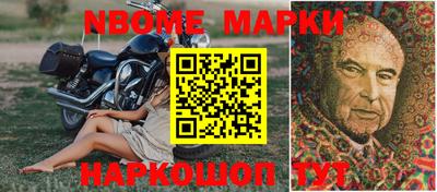 гашик Кингисепп