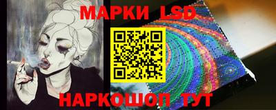 гашик Кингисепп