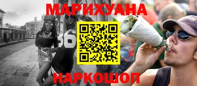 гашик Кингисепп