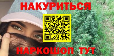 гашик Кингисепп