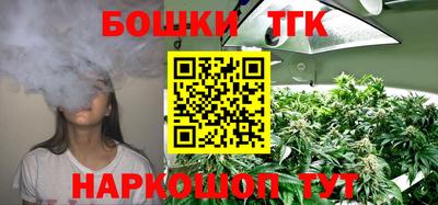 гашик Кингисепп